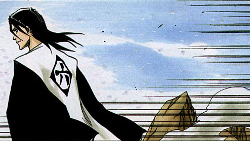 Otaku Gallery  / Anime e Manga / Bleach / Illustrazioni / 047.jpg